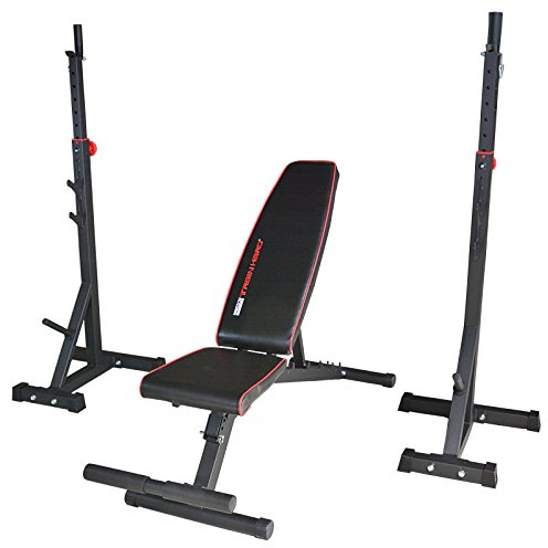 TrainHard® premium hantelbank justerbar tryckbänk svängbank med hantelskåp hantelställ