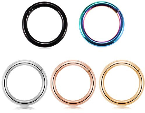 hengkaixuan Hypoallergenic Nose Hoop Rings Hinged Clicker Segment Seamless Hoop Ring 20G 18G 16G 14G 12G 10G 8G Septum Ring 316L Unisex Conch Daith Helix Cartilage Helix Hoop Earrings 5 Pcs
