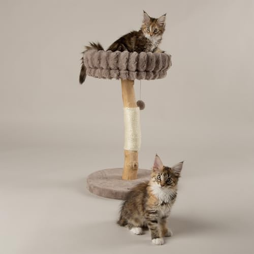 Scruffs Appalachians Cat Scratching Tree