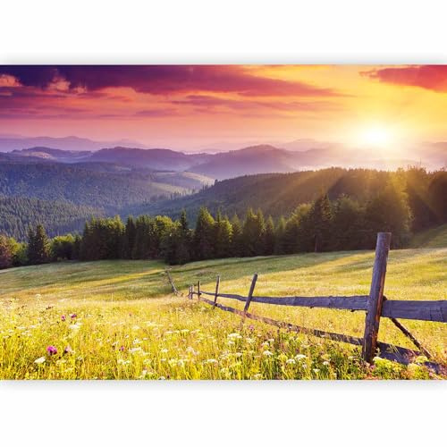 murando Photo Wallpaper Landscape Gebirge 300x210 cm Non-Woven Premium Art | Print Fleece Wall Mural Decoration Poster Picture Design Modern, Meadow Forest Nature