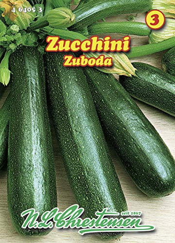 N.L. Chrestensen 464053 Zucchini Zuboda (Zucchinisamen)