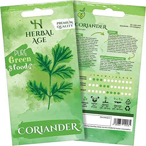 HERBAL AGE Coriander Seeds Plants, Grow Your Own Herb Garden Kit, ~140 Seed Box - Salad Herbs for Planting UK - Veg Plant Gardening Gift for Men, Women, Kids - Seeds to Plant Outdoor & Indoor