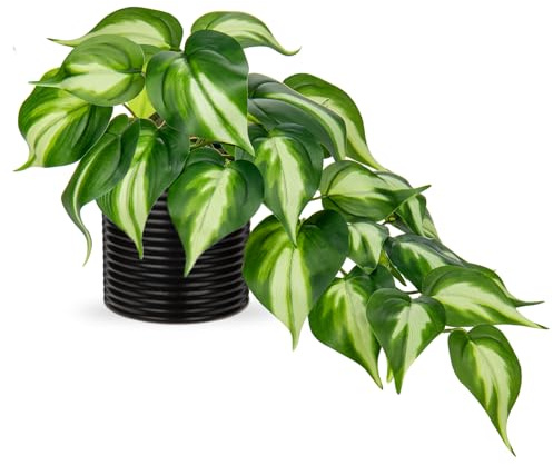 Hollyone Artificial Plants in Ceramic Pots, Fake Jade Pothos Decorative Faux Potted Plants, Realistic House Plant Indoor for Home Décor, Bathroom, Living Room, Kitchen, Shelf, Office Decorations