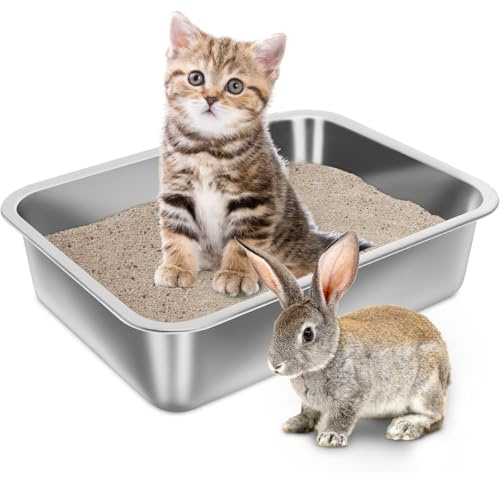 Caja de Arena para Gatos