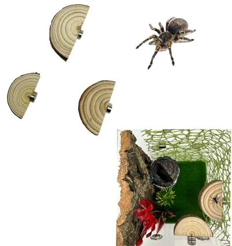 Heyshapeing 3 Pack Natural Wood Jumping Spider Enclosure Ledges with Magnets for Spoods Jumping Spiders Magnetic Jumping Spider Accessories (Not Included The Terrarium) (Pine Arch Shape)
