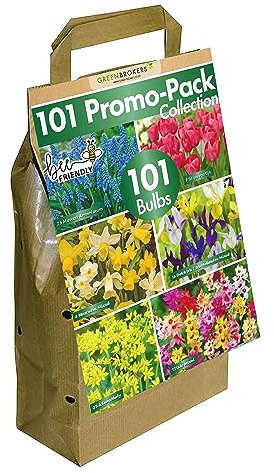 101 Dutch Bulbs | Big Buy Promo Pack | Bee-Friendly | Mixed Spring Flower Bulbs | Eco-Friendly Packaging | Easy Planting Guide Included