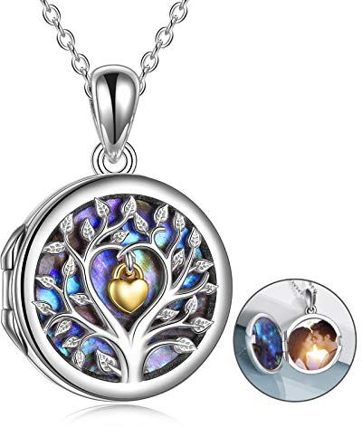 VONALA Baum des Lebens Halskette, Damen 925 Sterling Silber Schmuck Personalisierte Anhänger Modeschmuck Geschenkbox Verpackung- Bestes Geschenk (Medaillon Halskette)