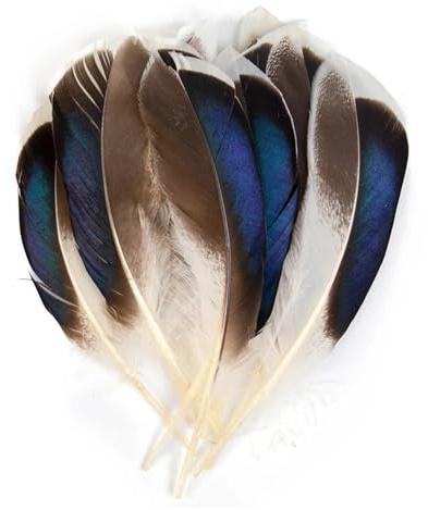 Paon faisan poulet plume en vrac 3-15 cm bricolage artisanat bijoux boucles d'oreilles mariage plume décoration(Brown,20PCS)