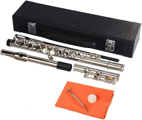 Flöjter, Professionella flöjter med slutna hål C, konsertbandflöjt, C 16-tangenters slutna hålflöjt, nickel för orkester, med fodral, musikinstrument för