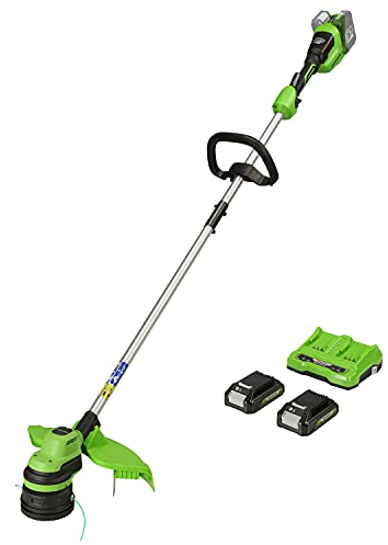 Greenworks Tools Tagliabordi A Batteria 48 V, 2 X 24 V, Taglio 33 Cm, Con Due Batterie 2Ah E Caricatore, Nero Verde