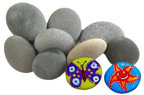 10 Pezzi Pietre da Dipingere,Sassi da Dipingere,Dipingere i Ciottoli,Le Rocce Ciottoli,Rocce Dipinte,Ciottoli da Dipingere,Decorazioni Pietre Ciottoli,Pietre da Giardino,Sassi da Giardino
