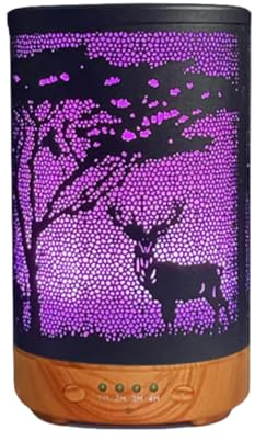 Recalma Diffuseur en métal, déshumidificateur, diffuseur d'arômes, thérapie d'arôme, huiles diffuseur, humidificateur d'air, diffuseur de parfum, lampe à parfum, nébuliseur, design industriel
