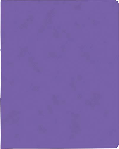 BRUNNEN Ringbuch A4 FACT!plus 2R 15mm viole