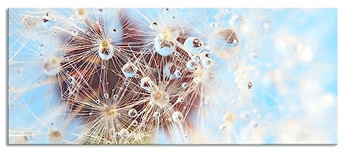 Glasbild Panorama | Wandbild aus Echtglas | Tropfen an Pusteblume Nahaufnahme | 100x40 cm | inkl. Aufhängung und Abstandshalter