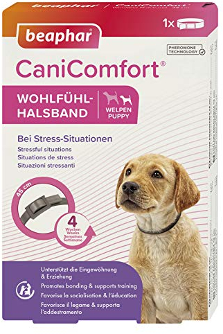 BEAPHAR - CaniComfort® Wohlfühl-Halsband - Für Welpen - Pheromon-Technologie - Beruhigt In Stress-Situationen - Unterstützt die Eingewöhnung Und Erziehung - Wirkt 4 Wochen - 45 cm - Grau