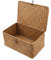 Cestino Portaoggetti, Seagrass Cesta Vimini con Coperchio in Rattan Intrecciato Fatto a Manograss (XL: 32x22x15CM)