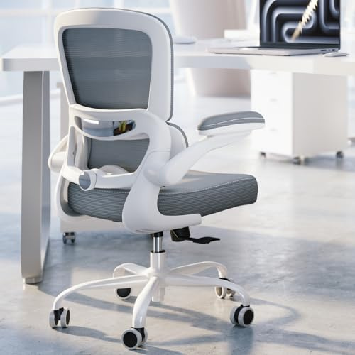 TRALT Ergonomic Office Chair Desk Chair with Adjustable Lumbar Support