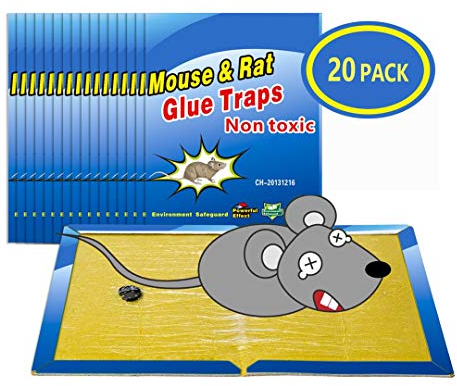 Wemk Piège à Souris Pièges à Rats, 20 Plaques Collantes Souris, Plaques de glu Anti Souris Anti Rat - Grande Taille, 20.2 x 30.5 cm