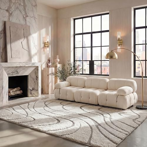 SAFAVIEH Area Rug 8x10 - Florida Shag Collection - Large - Cream & Beige, Non-Shedding & Easy Cleaning, Plush Thick Pile, Ideal for Living Room, Bedroom, Dining Space (SG471-1113)