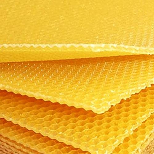 Cera de abeja pura 1 kg – Certificado Made in Germany | 10 placas de cera de abejas en diferentes dimensiones fragancia | DIY velas de cera de abejas DIY DIY DIY paquete de 1 kg (27 cm x 42 cm mín. 10