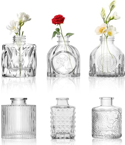 Jarrón pequeño de cristal para decoración de mesa de boda: 6 jarrones pequeños encantadores transparentes mini jarrones de cristal elegantes decorativos floreros para salón, fiesta de novia, mesa de