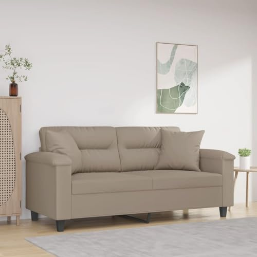 Frdhee Sofá lounge, sofá de suelo salón, sofá moderno, sofá de 2 plazas con cojín, tela de microfibra de 140 cm, para oficina, dormitorio, estudio, resistente