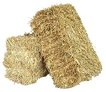 agrar-Store 20Kg Stroh Strohballen Gerstenstroh direkt ab Hof Einstreu Futter Meerschweinchenstroh Kaninchen