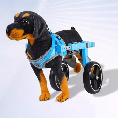 Rullstol för Hund 2 Hjul Hundvagn för Bakben, Lättviktshjälp för Hundar med Bälte och Reflekterande Remsor,Stöd för Bakbensstöd för Handikappade Husdjur(M)