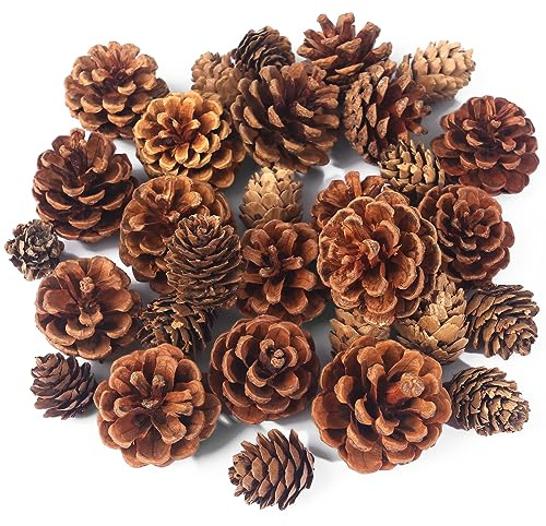 JOHOUSE 30 PCS Pine Cones, Natural Pinecones Bowl Filler