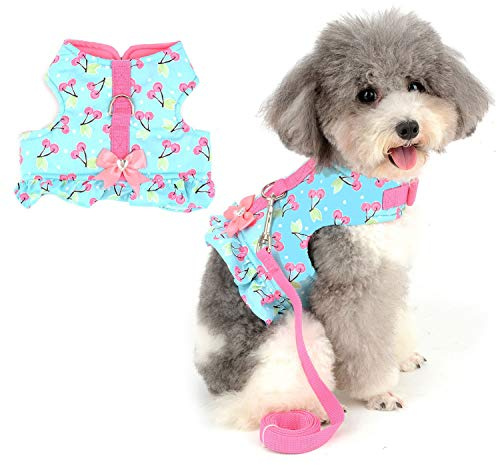 Zunea Harnais et Laisse pour Petit Chien Fille de Chiot Veste Robe, Anti Traction Harnais Chaton rembourré en Coton Doux et coloré avec nœud Mignon pour Chihuahua Yorkshire Bleu M