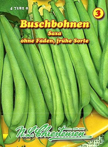 Buschbohnen, Saxa früh, grün, ohne Fäden N.L.Chrestensen Samen 471820-B