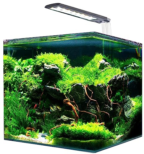 AMTRA NANOTANK System 36 - Acquario in Vetro Completo di Luce LED, Filtro e Tappetino / 40x30x30cm / 36 Litri