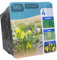 Complete Waterplants Pond Plant Kit - Trio Mix (Acorus, Yellow Iris, Pontederia)