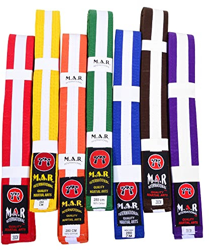 MAR | Purple/Brown Martial Arts Belt, Striped Ranking Belt - 100% Cotton | Professional Equipment for All | Striped Grading Belts, Ideal for Karate, Judo, Taekwondo, Jiu jitsu (280cm)