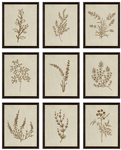 97 Decor Botanical Wall Art - Vintage Botanical Prints, Plant Art Wall Decor, Neutral Floral Wall Art Pictures, Beige Flower Poster Paintings, Flower Sketch Drawing for Bedroom (8x10 UNFRAMED)