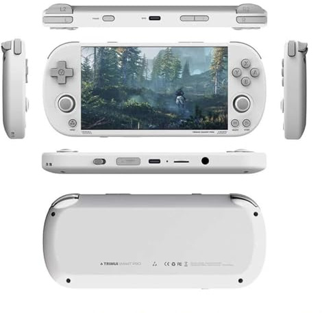 TRIMUI Smart Pro Console Portatile 26 Generazioni, Giochi Classici Linux Wi-Fi Bluetooth Stereo