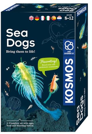 KOSMOS Sea Dogs 616779 Kit d'expérimentation pour Enfants à partir de 8 Ans - Kit Complet pour débutants - avec Instructions multilingues (DE, en, FR, IT, ES, NL) - 21 x 13 x 5,5 cm