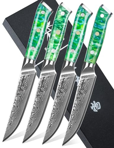 SANMUZUO Juego de 4 Cuchillos de Carne, 13cm Cuchillos de Bistec Acero en VG10 de Damasco Set Cuchillo Chuleteros, Afilado Cuchillos de Cocina con Mango de resina, Serie Xuan(Verde Vibrante)