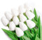 Cosswe Artificial Tulips, 12pcs Faux Flowers Bouquet Fake Flower Tulip White tulips bunch for Home Room Decoration Wedding DIY Decor