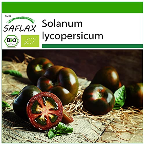 SAFLAX - Ekologiskt - Tomat - Black Cherry - 10 Frön - Solanum lycopersicum