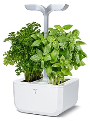 Véritable Jardin d'intérieur Exky Smart (Arctic White) - Jardin Intelligent Compact et Autonome avec Technologie Adapt-Light - avec 2 Lingots
