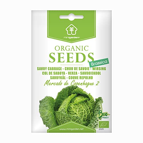 Chou de Savoie Mercado de Copenhague 2, Graines certifiées biologiques prêt à Pousser Minigarden, 100% Naturelles sans Propagateurs Chimiques ni Génie Génétique, inclut entre 250 et 300 graines