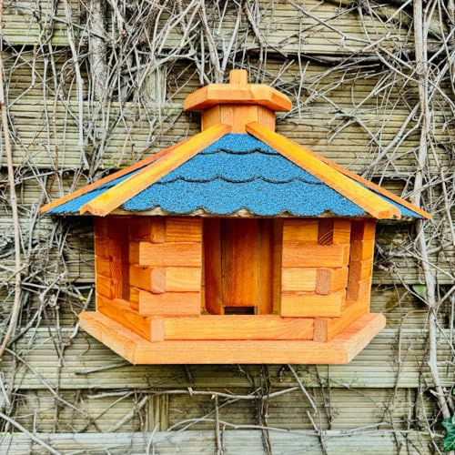 DARLUX Mangeoire murale pour oiseaux, Cabane Oiseaux en Bois, taille XL, faite à la main, en bois lasuré, résistante aux intempéries, à suspendre, marron, toit en bitumé, bleu