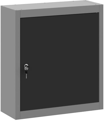 Canditree Armoire à Outils Murale, Armoire d’Atelier en Acier avec Porte Verrouillable (Noire)