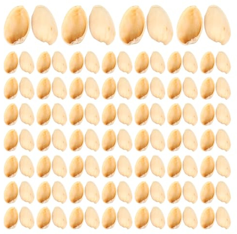 ABOOFAN Matériel de Bricolage pour Garçon et Filles 500G Coquilles de Pistaches DIY Naturelles Accessoires Faits à la Main pour Peinture Décorative et Créations Artistiques