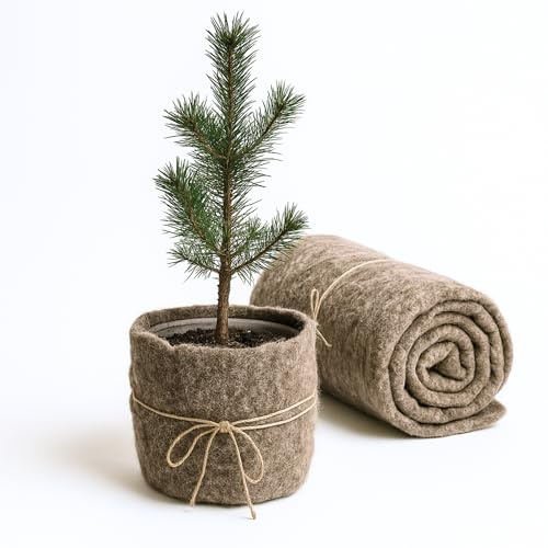 UNIGARDIA Öko-Schafwollmatte 50 x 250 cm - Winterschutz aus Schafwolle für Pflanzen - 100% Bio-Schafwolle - Wintervlies für Kübelpflanzen - Schneckenschutz, biologisch abbaubar