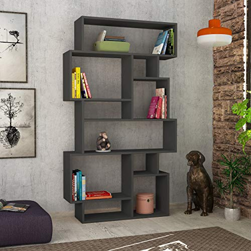 Hocuspicus 6-stöckiges Bücherregal mit 10 offenen Fächern| modernes Standregal für Wohnzimmer und Büro| platzsparendes Regal zur Bücheraufbewahrung und Präsentation| 25,5 x 96 x 168,5 cm (Anthrazit)