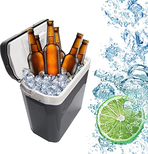 Randaco Nevera Eléctrica Portátil, 32 litros Mini nevera portátil de 230 V y 12 V para vehículos coches camping, Enfría y calienta, Refrigerador Pequeño Portátil, Gris