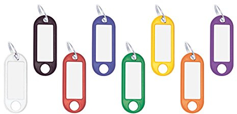 WEDO Schlüsselanhänger 100 Stück, farbig sortiert – mit 18 mm Ring, beschriftbar & Etiketten auswechselbar, 52×21×3 mm, Made in Germany