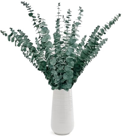 XIATIAN 24 Pcs Dried Preserved Eucalyptus Stems 17, Natural Fresh Green Eucalyptus Plant Made from Real Eucalyptu Leaves Branches for Flower Arrangement, Wedding Decor, Home Decor